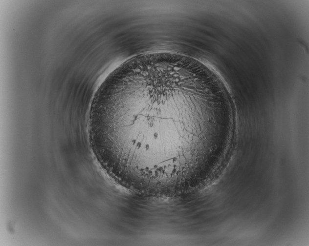 X0000100220949200806061341