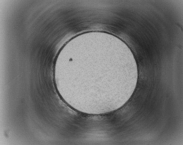 X0000100220950200806061341