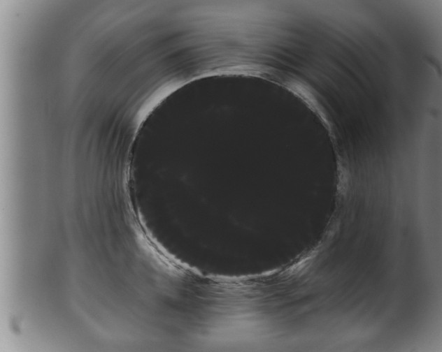 X0000100220952200806061341