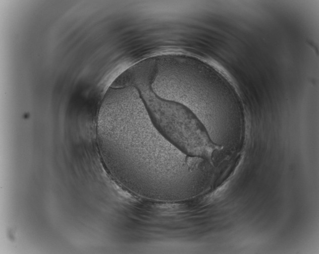 X0000100220953200806061341