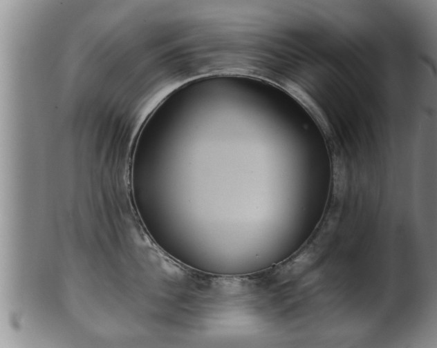 X0000100220956200806061341