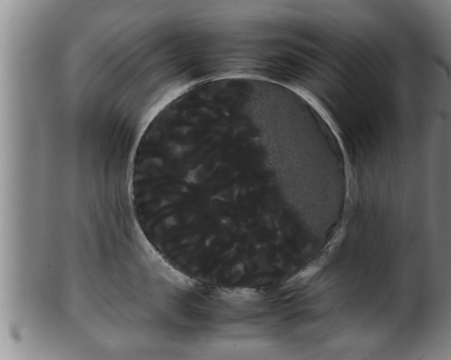 X0000100220957200806061341