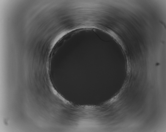 X0000100220958200806061341