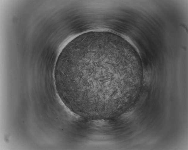 X0000100220959200806061341