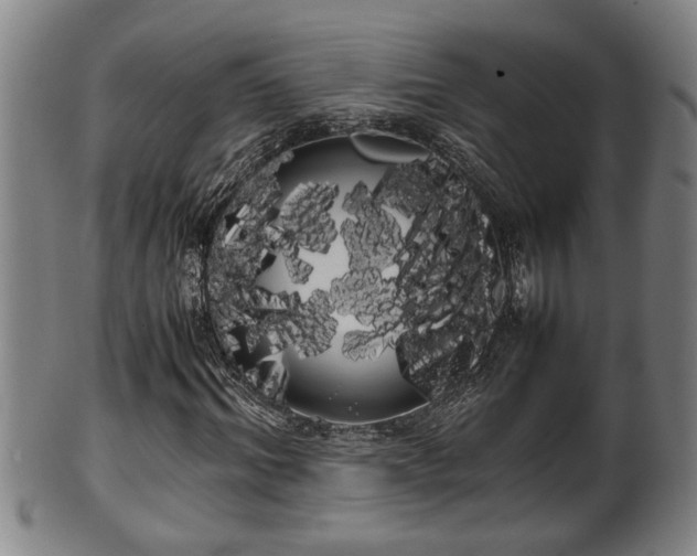 X0000100220964200806061341