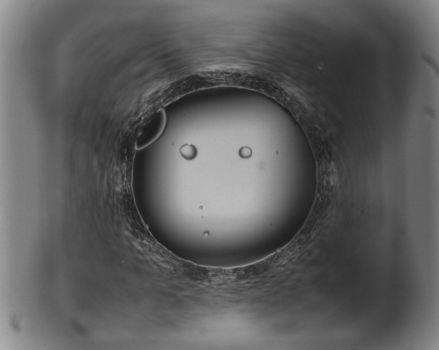 X0000100220965200806061341