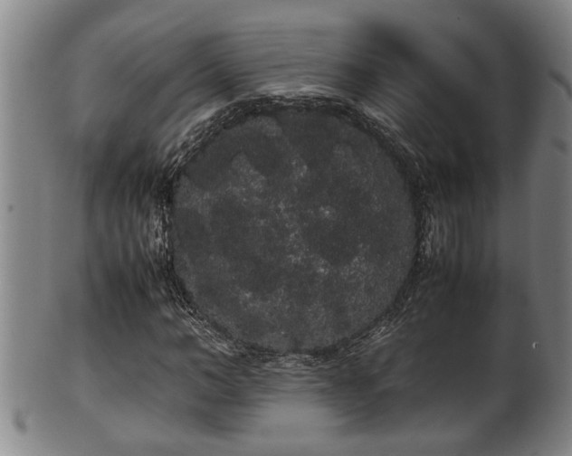 X0000100220966200806061341