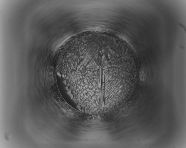 X0000100220968200806061341