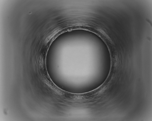 X0000100220969200806061341