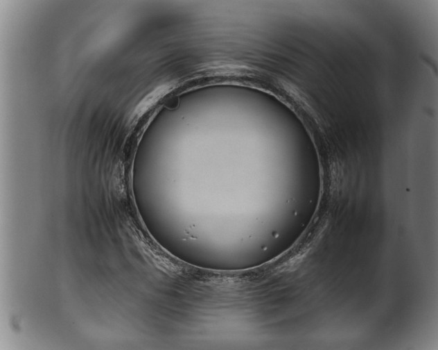 X0000100220970200806061340