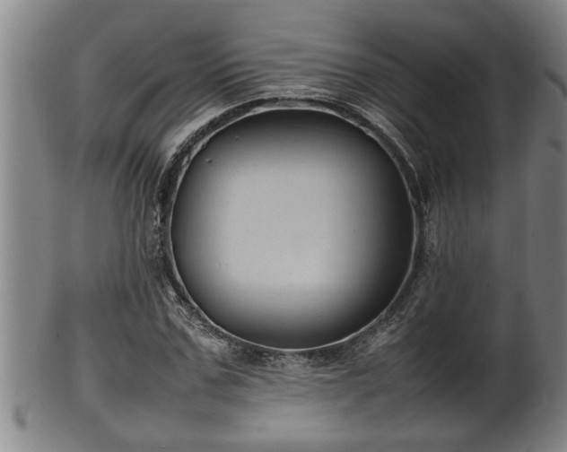 X0000100220971200806061340