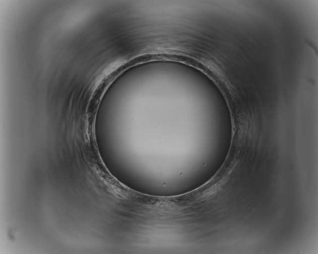 X0000100220974200806061340