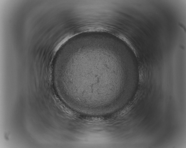 X0000100220975200806061340