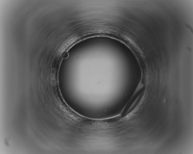 X0000100220977200806061340