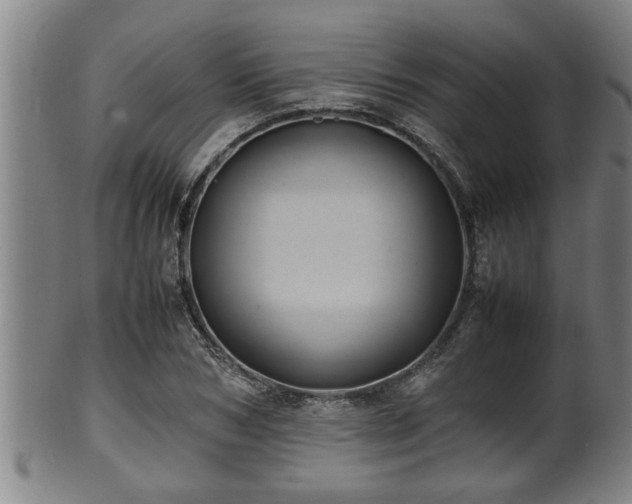 X0000100220978200806061340