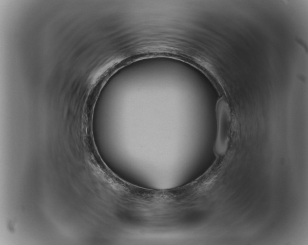 X0000100220979200806061340