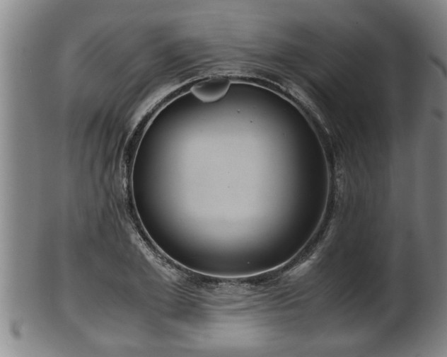 X0000100220981200806061340