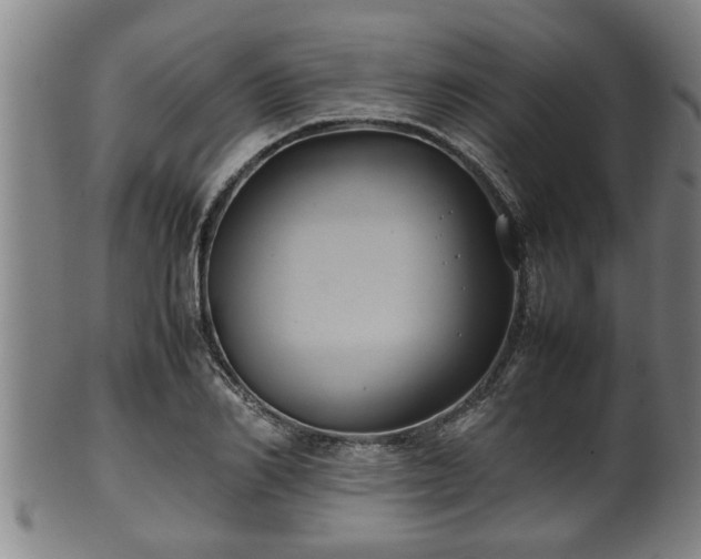 X0000100220982200806061340