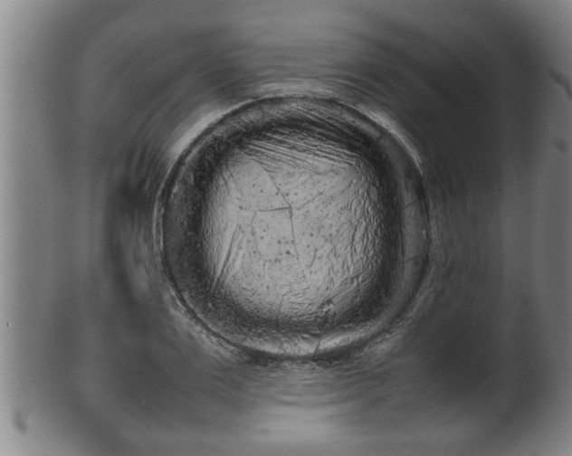 X0000100220983200806061340