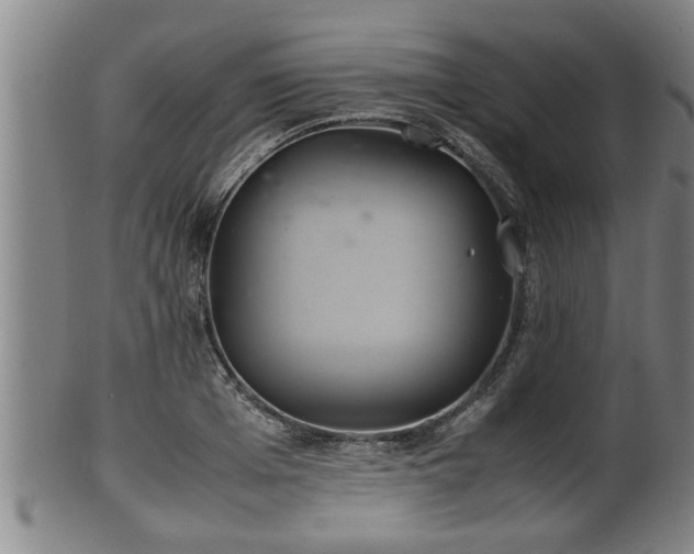 X0000100220985200806061340