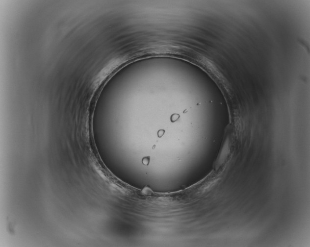 X0000100220986200806061340