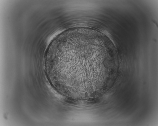 X0000100220987200806061340