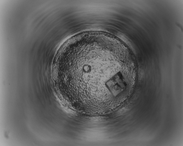 X0000100220988200806061340