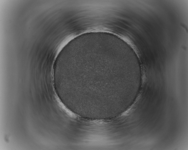 X0000100220990200806061340