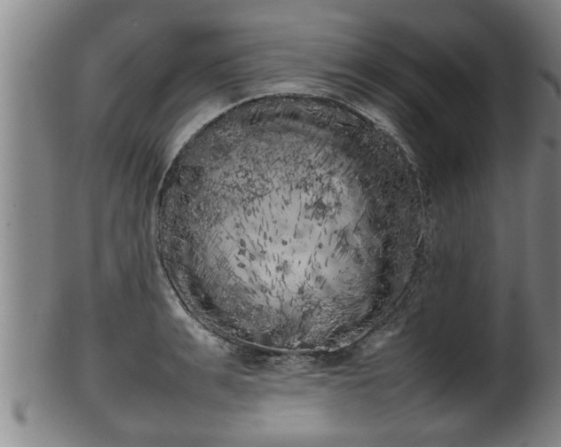 X0000100220991200806061340