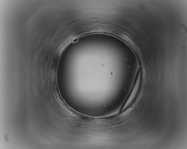 X0000100220993200806061340