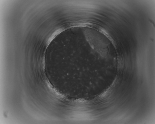 X0000100220994200806061340