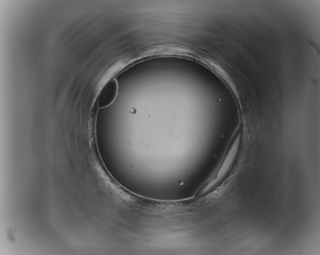 X0000100220997200806061340