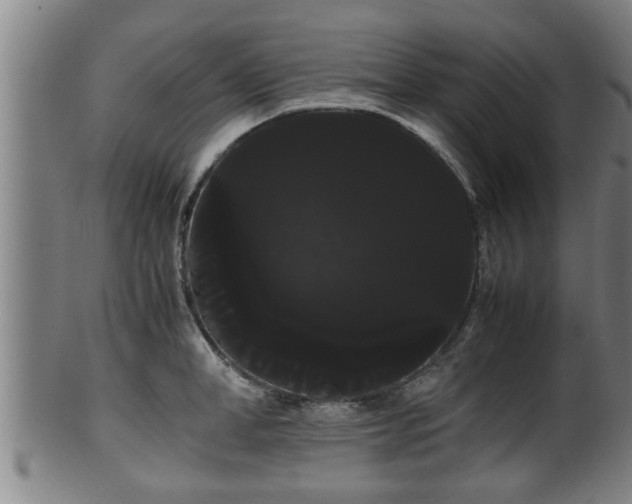 X0000100220998200806061340