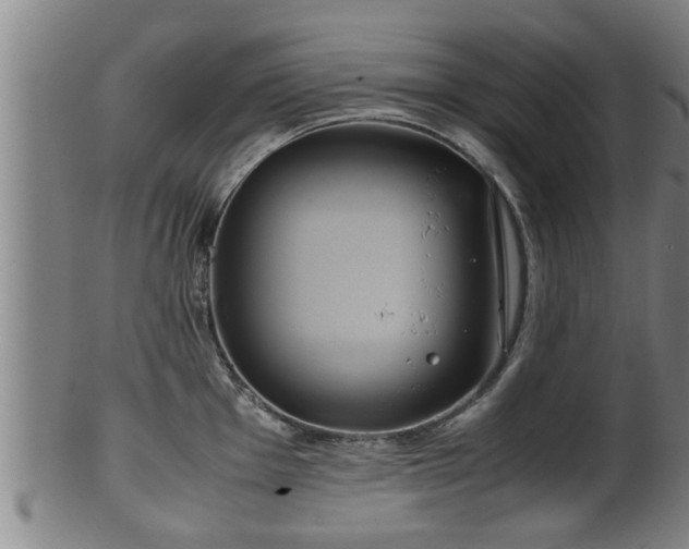 X0000100221001200806061340