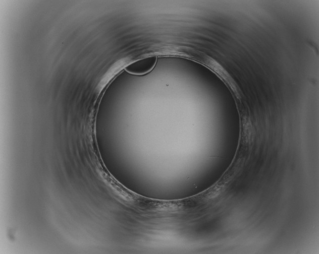 X0000100221002200806061340