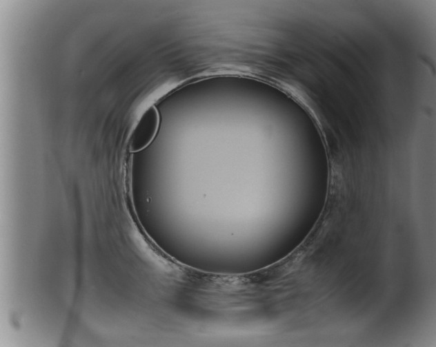 X0000100221003200806061340