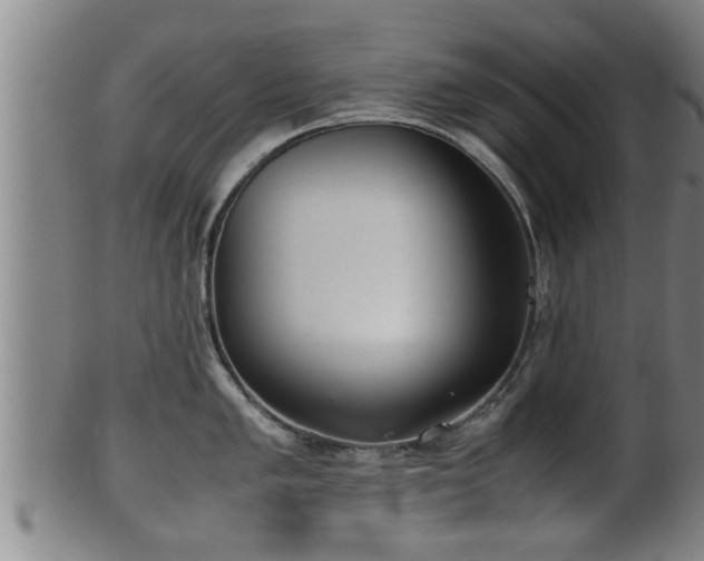 X0000100221005200806061340