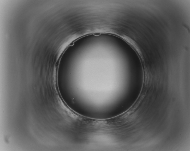 X0000100221006200806061340