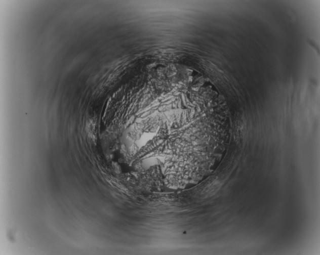X0000100221010200806061339