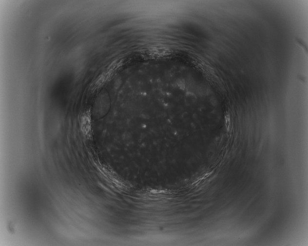 X0000100221011200806061339