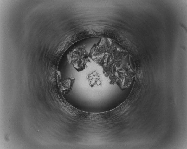 X0000100221012200806061339