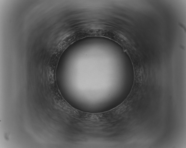 X0000100221013200806061339