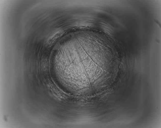 X0000100221014200806061339