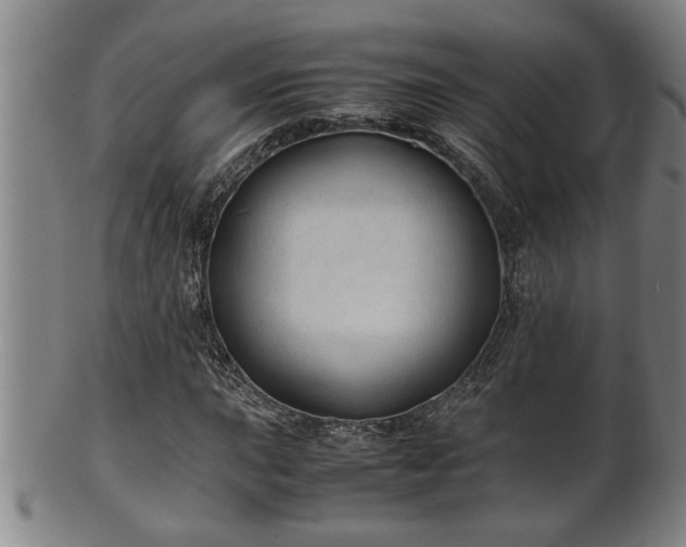 X0000100221015200806061339