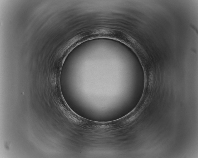 X0000100221017200806061339