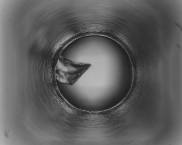 X0000100221018200806061339