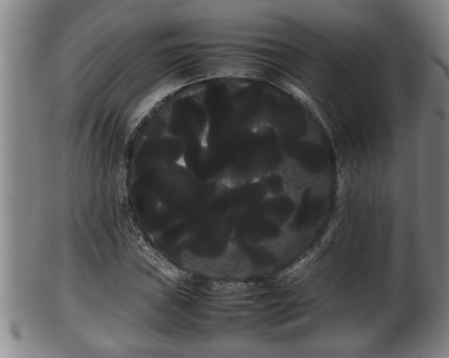 X0000100221019200806061339