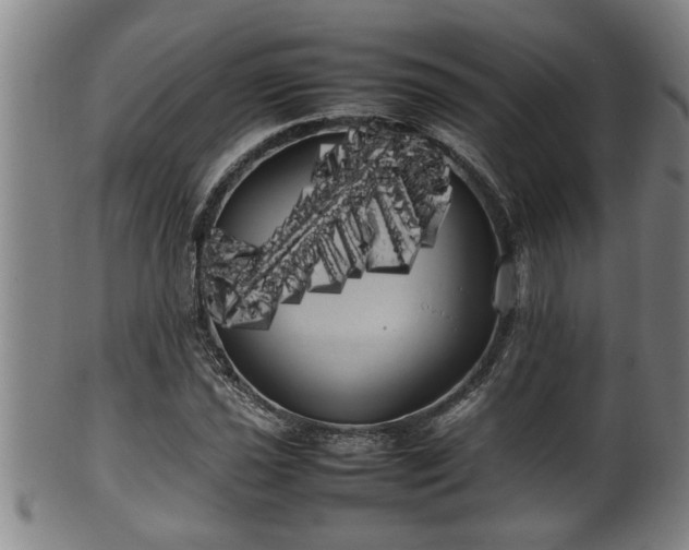 X0000100221021200806061339