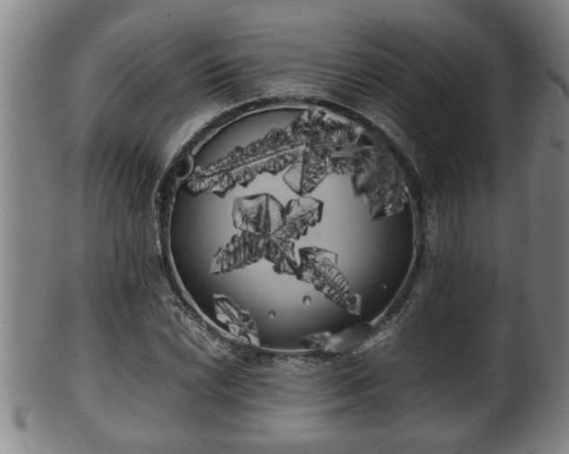 X0000100221022200806061339