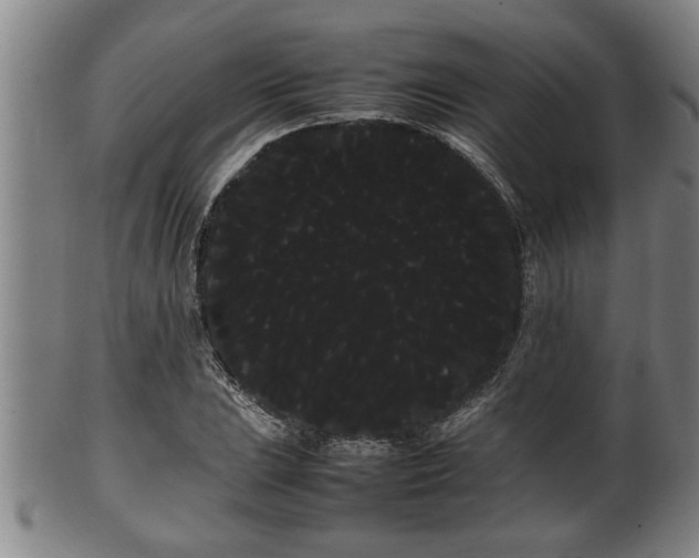 X0000100221023200806061339